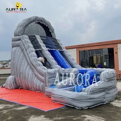 Buy Grey Inflatable Dry Slide Bounce House With Curve Fun For All Ages online manufacture