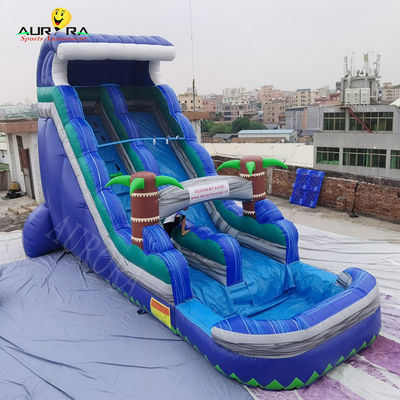 Buy Tarpaulin Inflatable Water Slide For Adult Blue Tropical Kids Tropical Palm Tree online manufacture