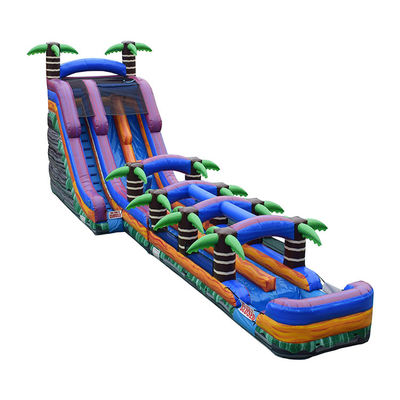 Buy Inflatable Toys Accessories Water Slides 22'H Purple Crush Inflatable Water Slide Slip online manufacture
