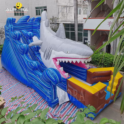 ব্লু হাঙ্গর ব্লু হাঙ্গর ব্লু হাঙ্গর ব্লু হাঙ্গর ব্লু হাঙ্গর ব্লু হাঙ্গর