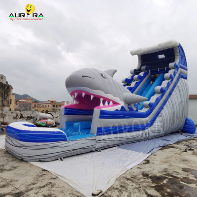 ओईएम Inflatable वाटर स्लाइड 0.55 एमएम पीवीसी बच्चों के पानी पार्क स्लाइड पूल के साथ