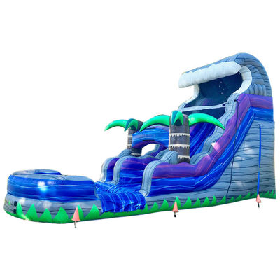 Scivolo d'acqua gonfiabile Bambini Bouncer Salto castello Il cortile di doppia corsia palla secca