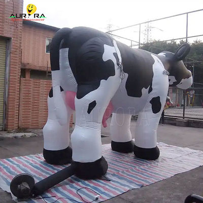 名前